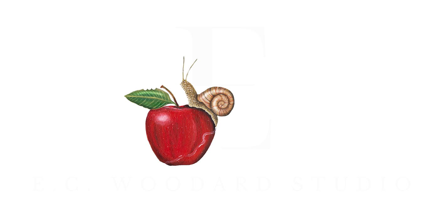 E.C. Woodard Studio