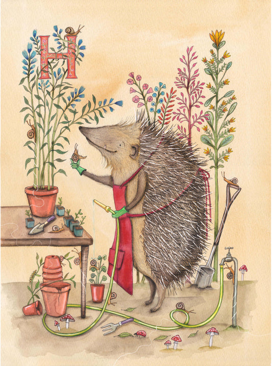 Alphabet 'H' Hedgehog The  Horticulturist.