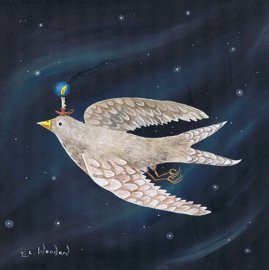 'Night Flight'