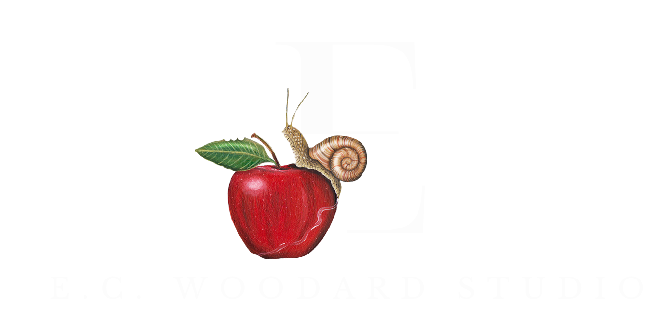 E.C Woodard Studio